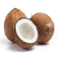 Coconut For Sale