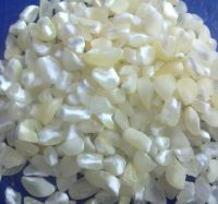 Best Quality Grade 1 Yellow Corn & White Corn/Maize For Human & Animal Feed