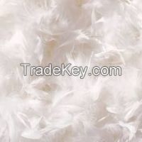 Quality Goose Feather, Pheasant Tail Feather, Duck Feather