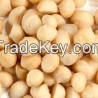 Grade A Raw Macademia Nuts and Cashew Nuts .
