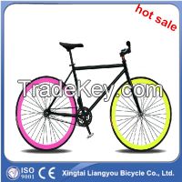 Colorful High Quality Fixed Gear Bike, Chinese Fixed Gear Bike Factory