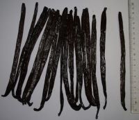 Sell Alkalized Cocoa Powder, COCOA BEAN