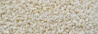 Top Quality Sesame seeds, Chia seeds, Coriander seeds, Alfalfa Seeds, Mustard Seeds