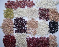 HIGH QUALITY KIDNEY BEANS FOR SALE CURRENT YEAR CROP