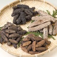 Fresh/Dried Sea Cucumber, White Teat Fish, Black Prickly Fish, Fresh /Frozen Available