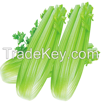 Celery seed