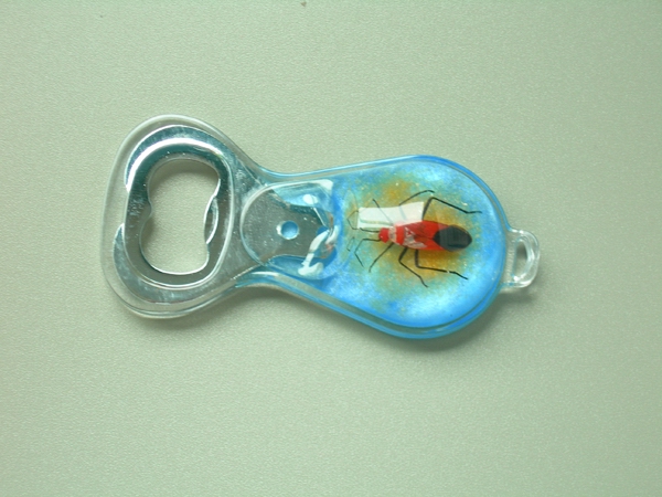 Bottle Opener