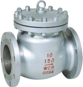 Swing Check Valve