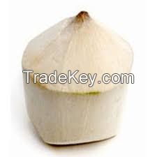 Fresh Young Thai Coconut