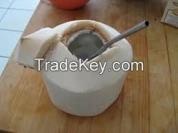 Fresh Young Thai Coconut