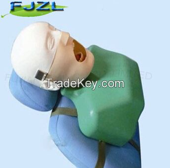 Dental Training Head Simulator Manikin