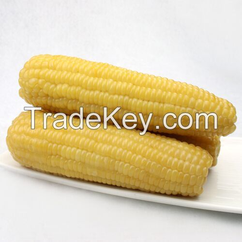 Waxy corn 