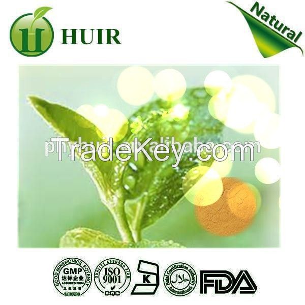 Green Tea Extract organic green tea extract natural green tea extract