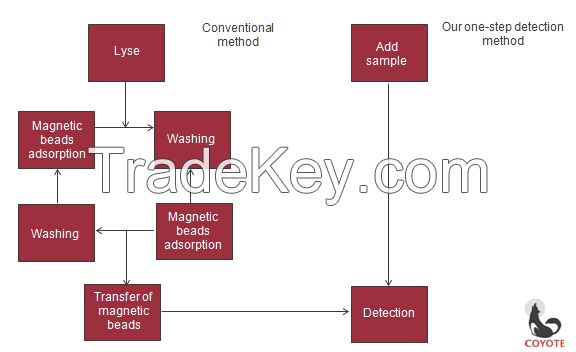 One-Step qPCR Detection Kits