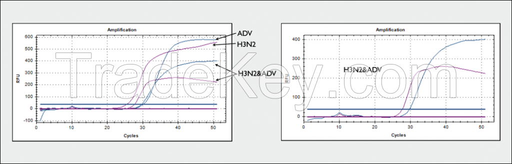 One-Step qPCR Detection Kits