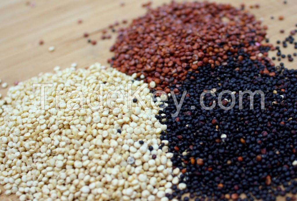 BLACK, RED &amp; WHITE  QUINOA  (QUINUA)