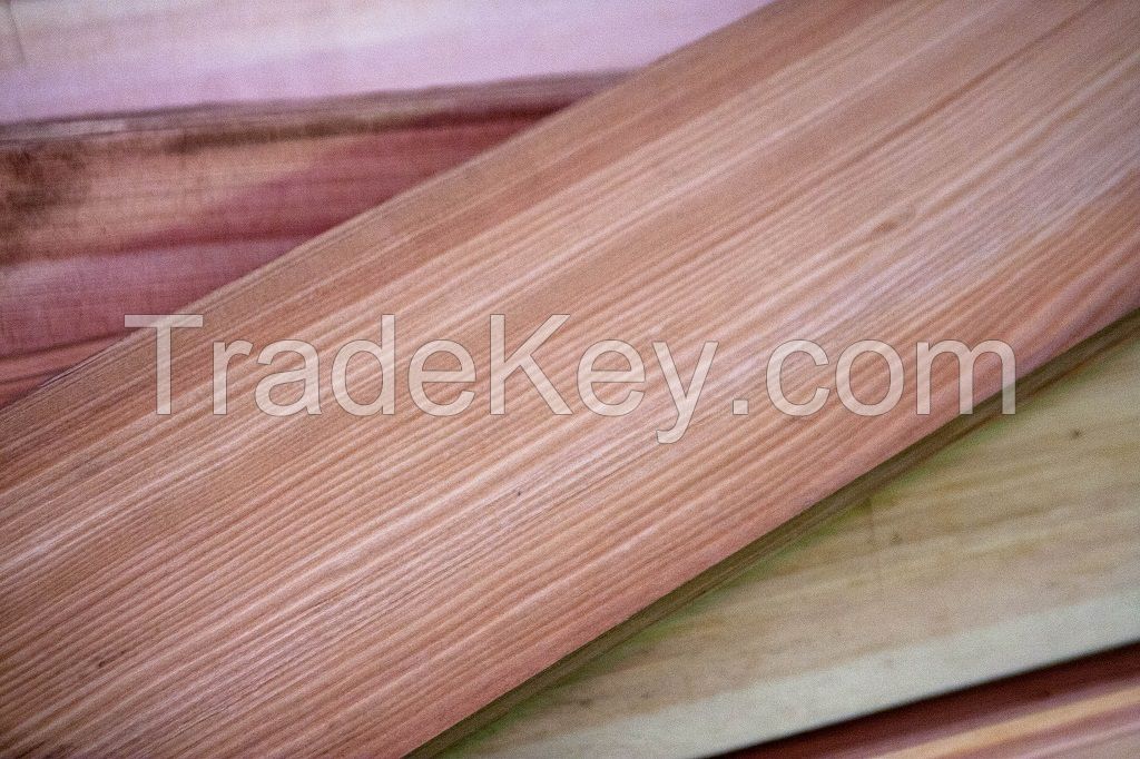 Veneer of Angara pine and Siberian larch