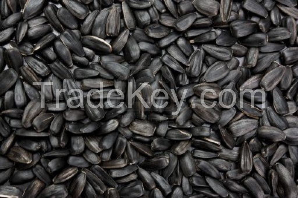 Sunflower seeds for human consumption (Black)