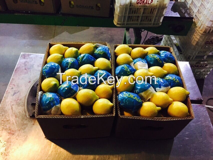 Fresh Lemon