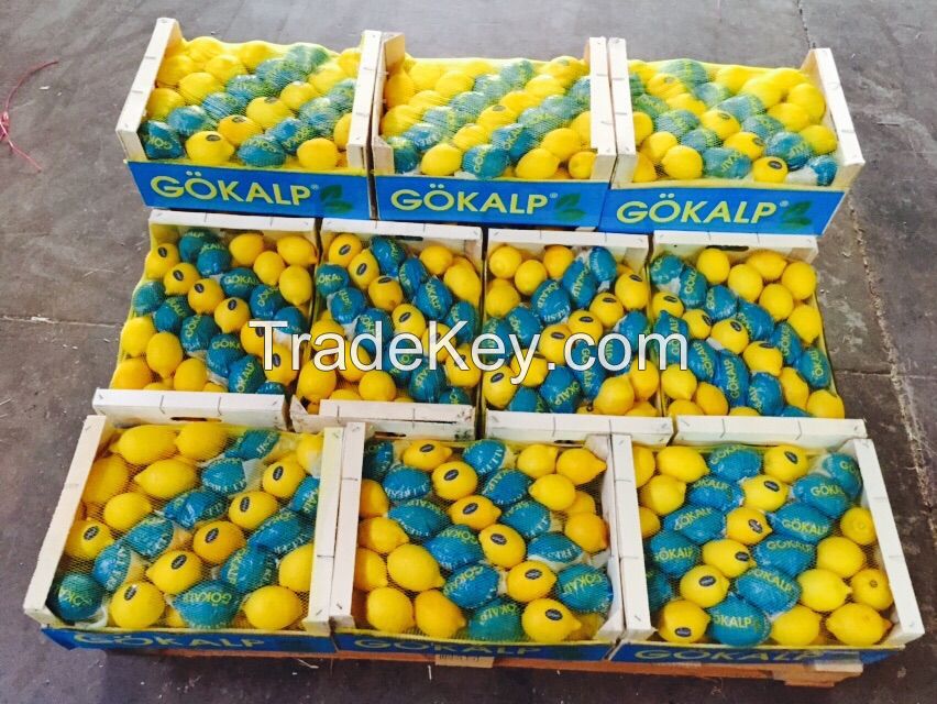 Fresh Lemon