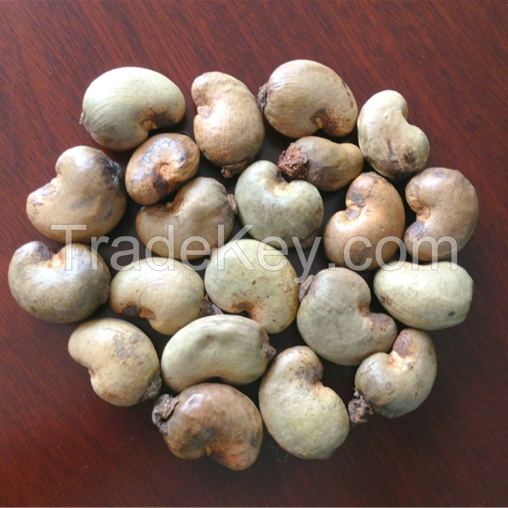 Raw Cashew Nuts