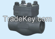 API Forged Check Valve