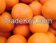 Fresh oranges