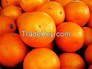 Fresh oranges