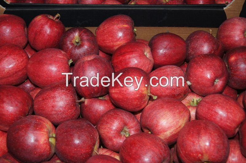 Fresh apples Black Prince