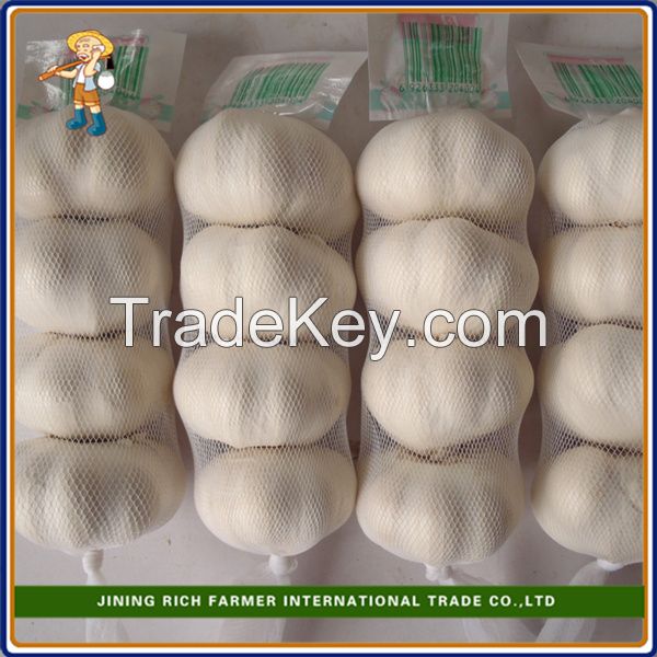 Top quality 5.0cm 450g bag snow white Chinese garlic
