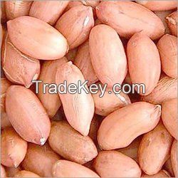 Raw Red skin Peanuts