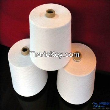 Hot Selling Virgin Ne 30s 100% Polyester Spun Yarn (Stock)