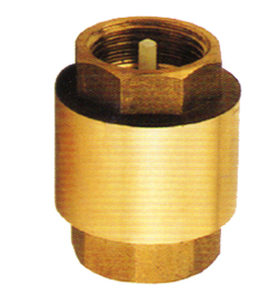 brass check valves