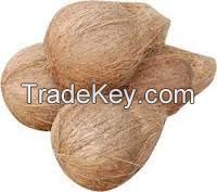 FRESH MATURED COCONUT WITH SEMI HUSKED