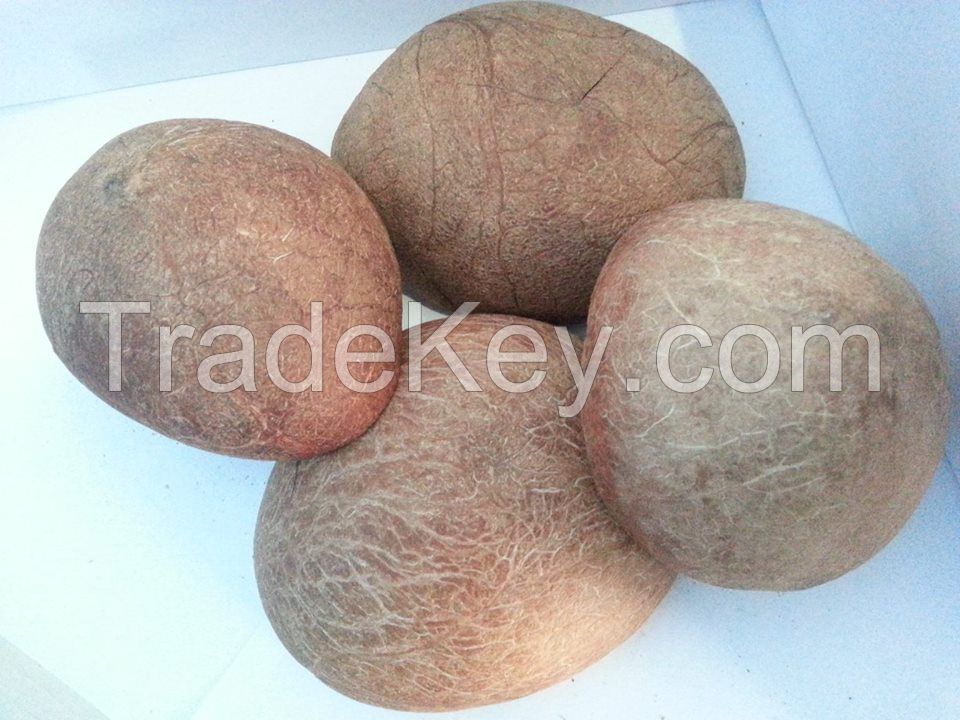 Indonesian copra (Dried Coconuts)