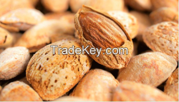 Almond