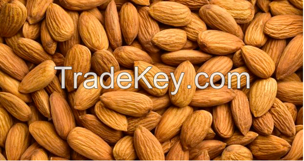 Almond