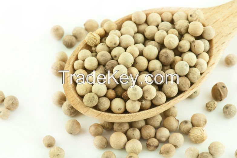 White Peppe | Black Pepper
