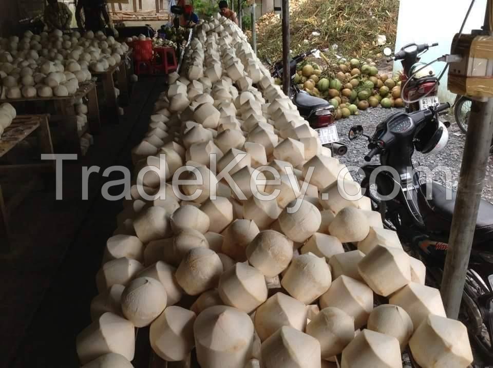 FRESH YOUNG COCONUT 