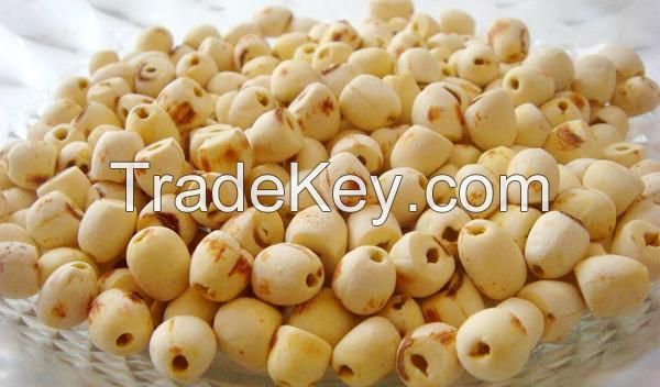 DRIED LOTUS SEEDS