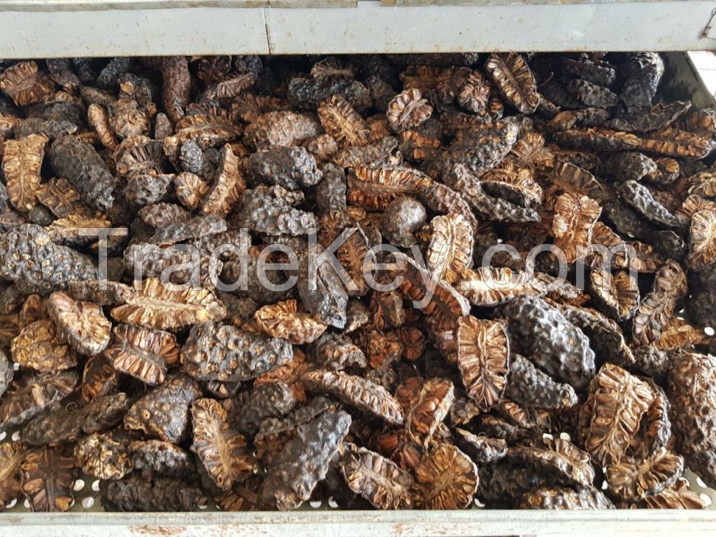 DRIED NONI FRUIT