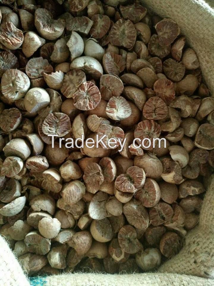 DRIED BETEL NUTS