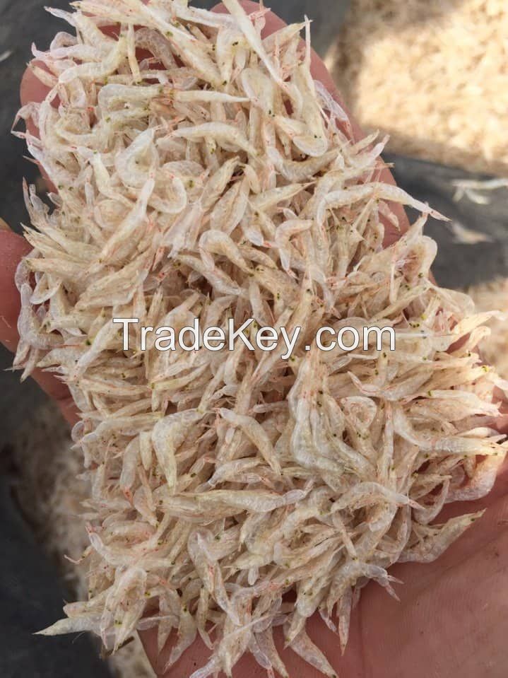 DRIED BABY SHRIMP