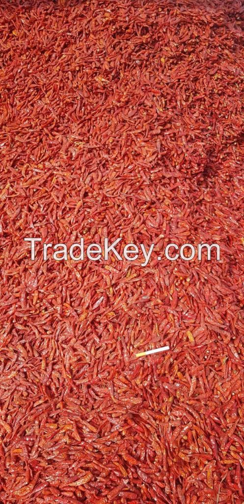 DRIED CHILLI 