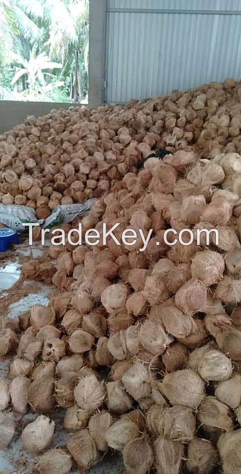 DRIED COCONUT