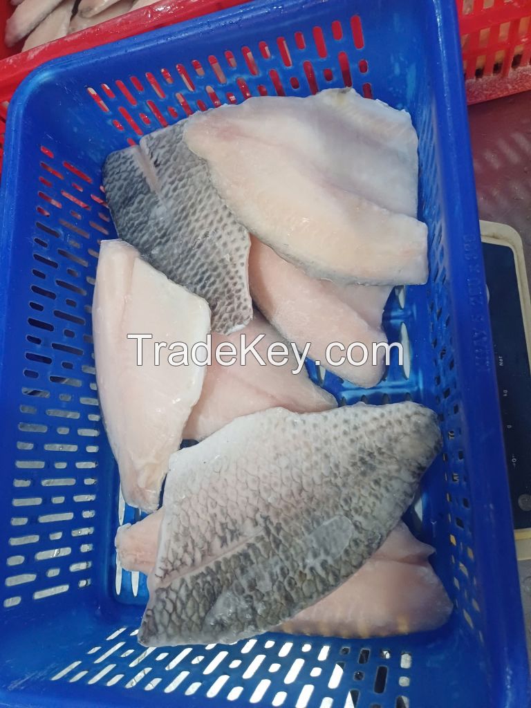 FROZEN TILAPIA FILLET