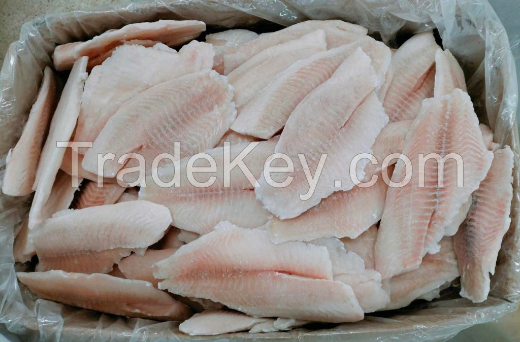 FROZEN TILAPIA FILLET