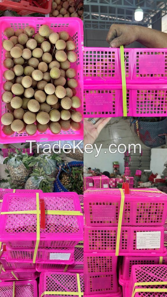 Fresh Longan
