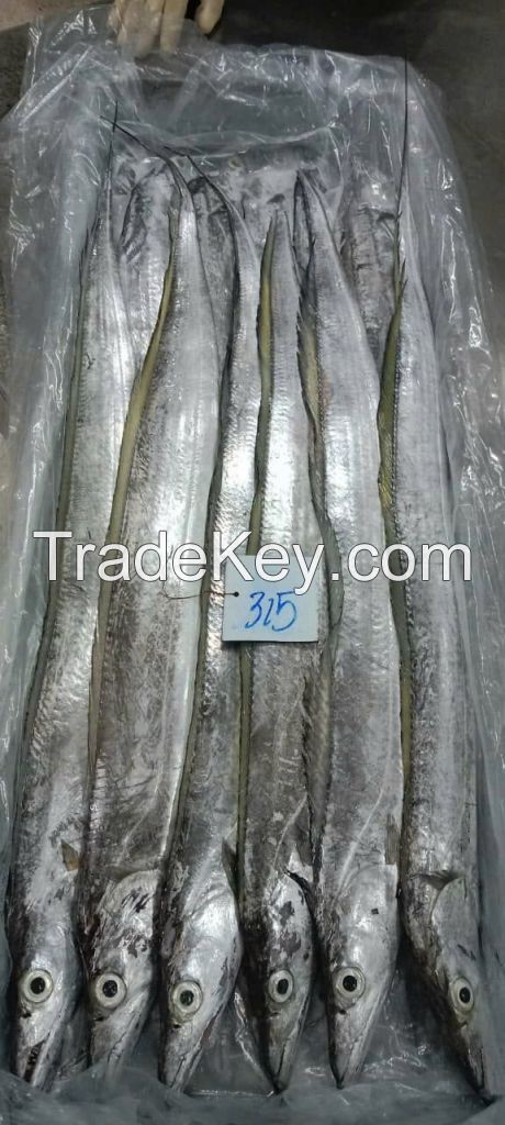 Frozen Ribbonfish