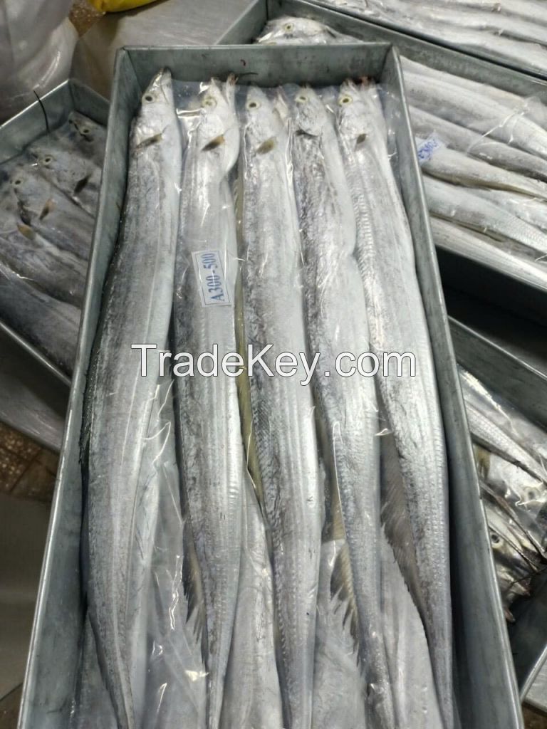 Frozen Ribbonfish